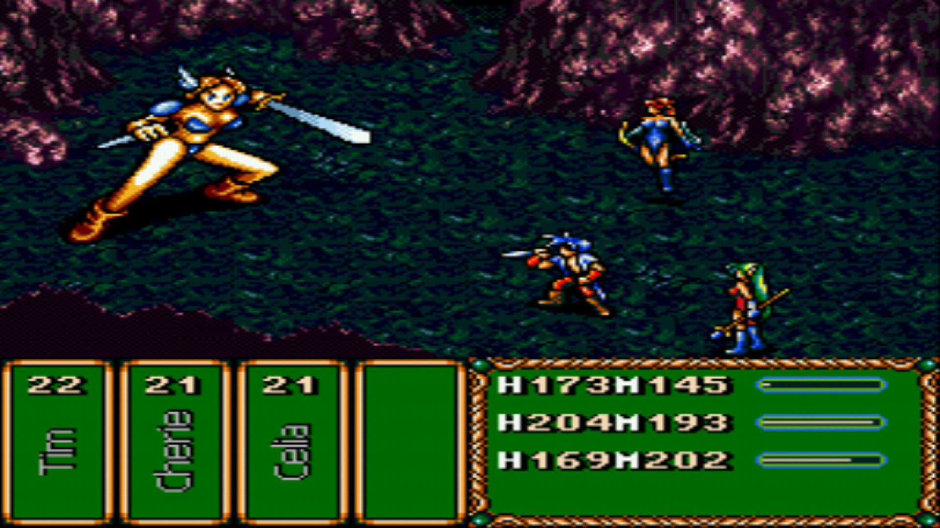 Screenshot for Brave Battle Saga: Legend of the Magic Warrior