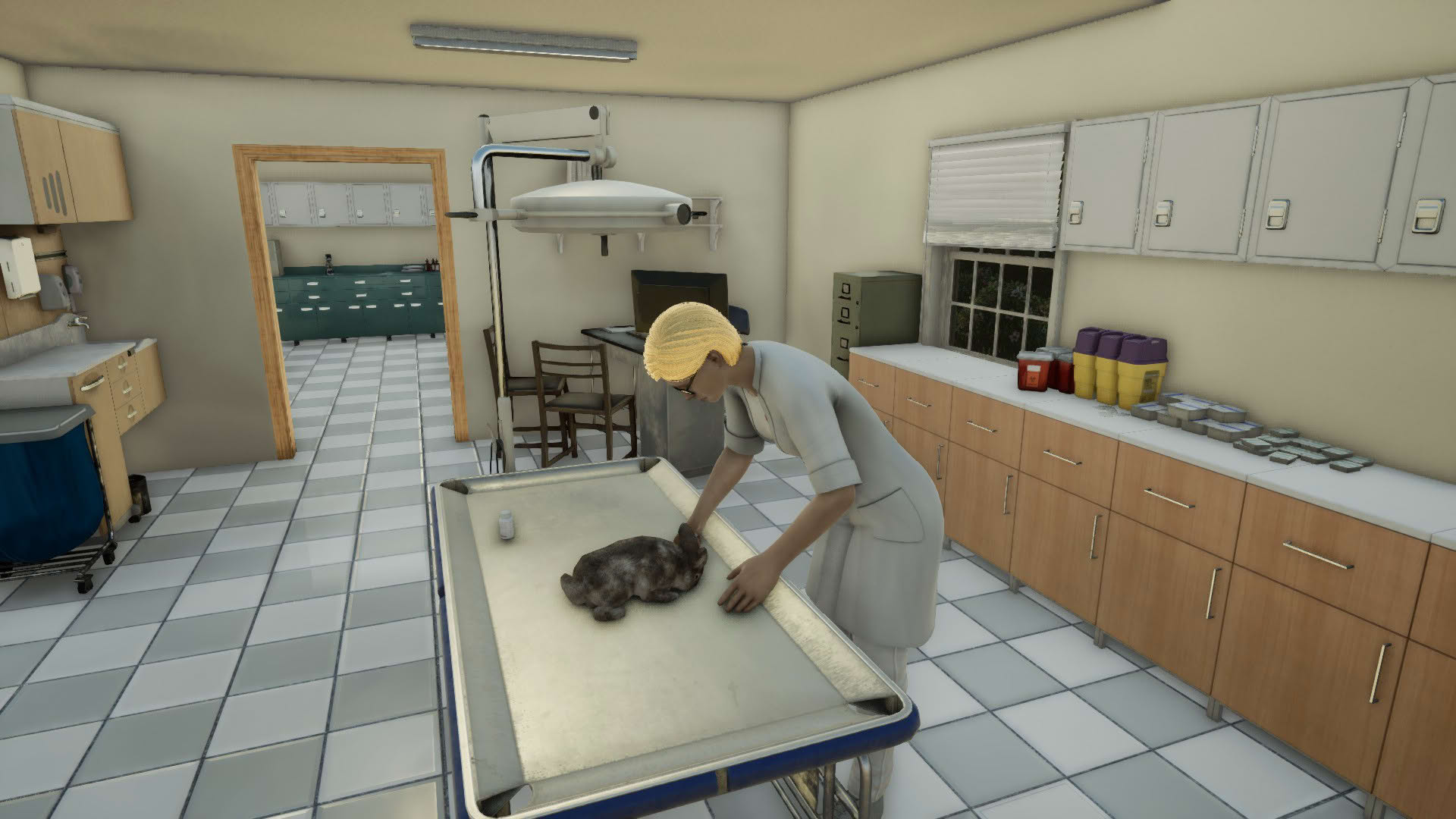Screenshot for Animal Doctor