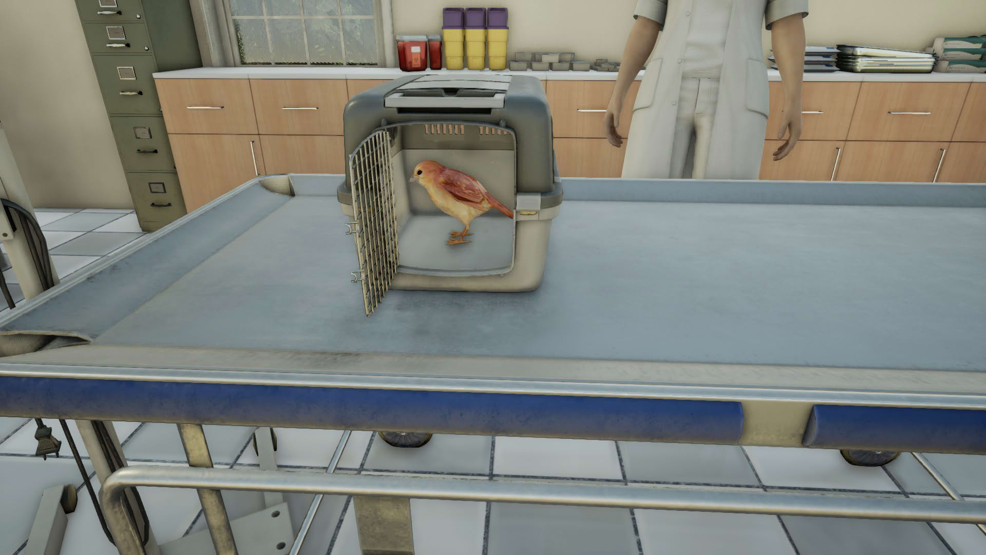Screenshot for Animal Doctor