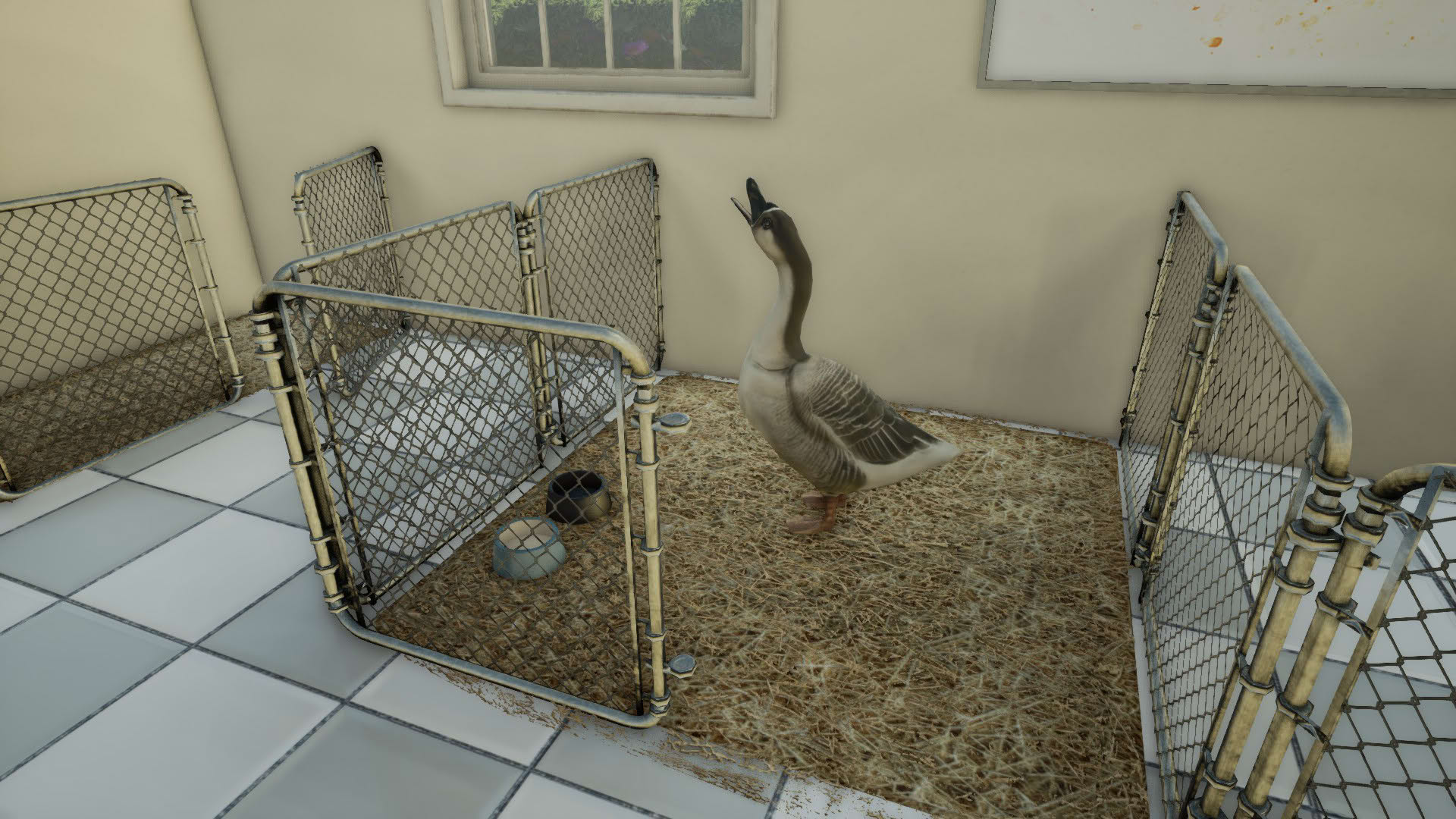 Screenshot for Animal Doctor