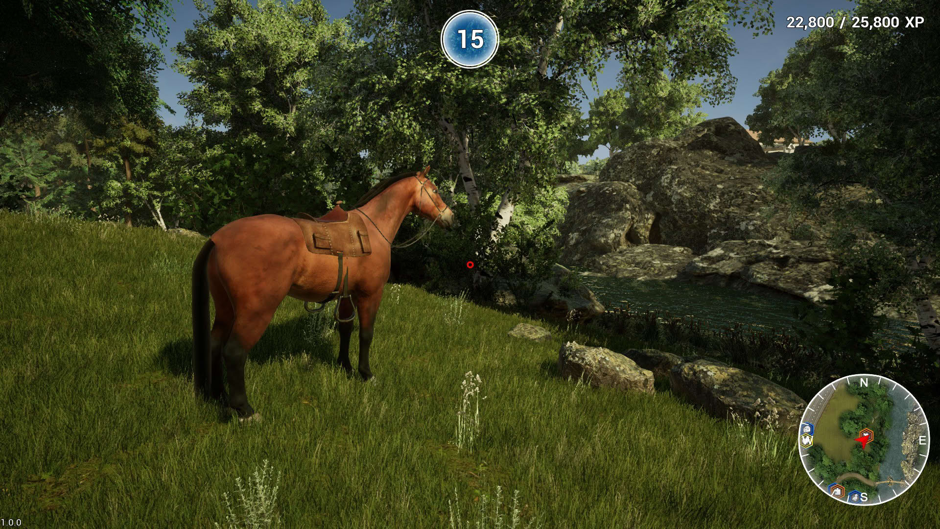 Screenshot for Animal Doctor