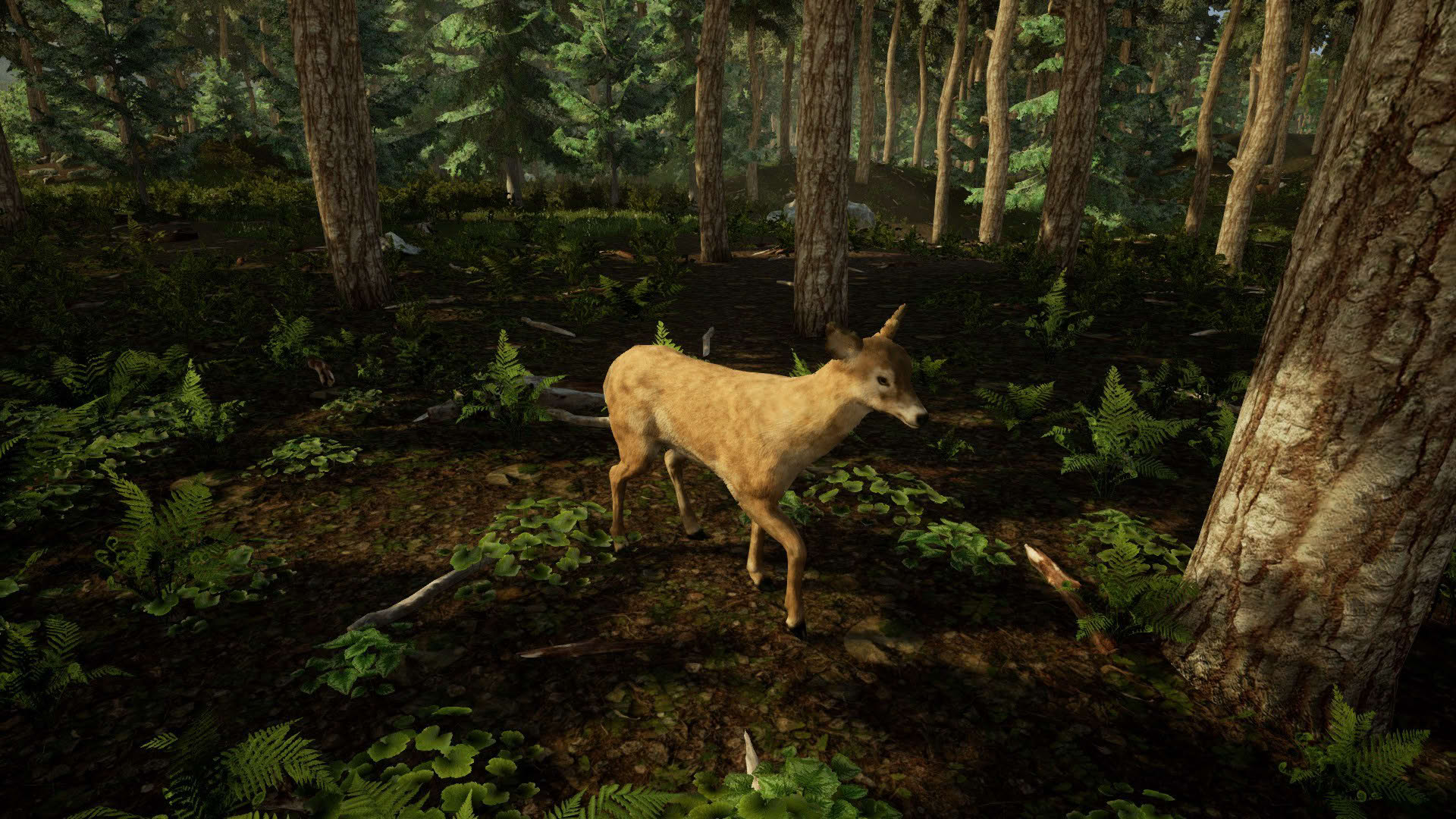 Screenshot for Animal Doctor