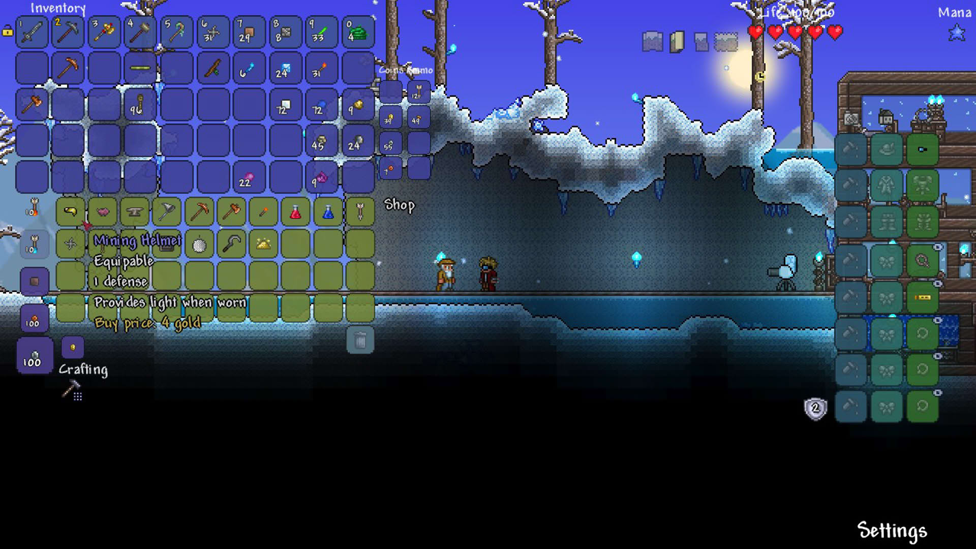 Screenshot for Terraria