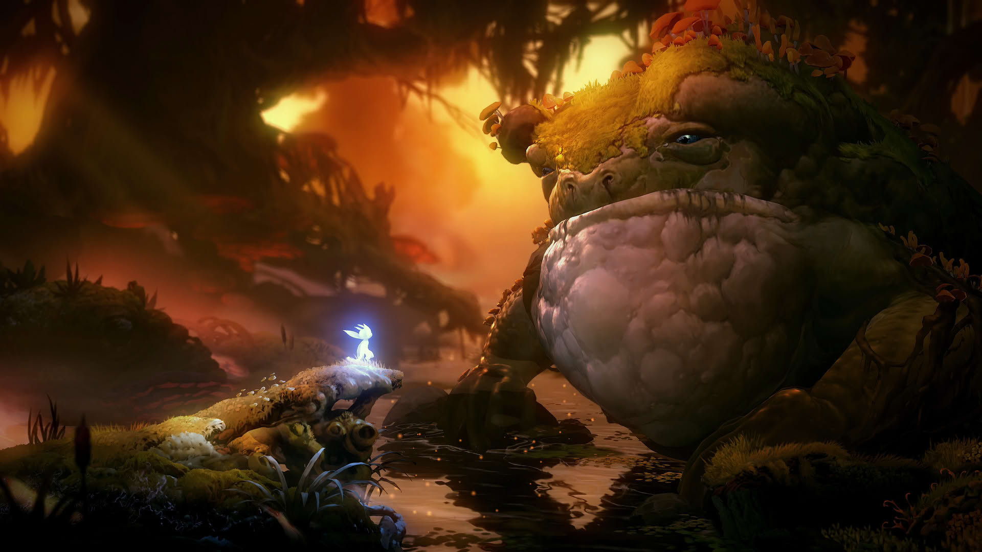 Screenshot for Ori and the Will of the Wisps