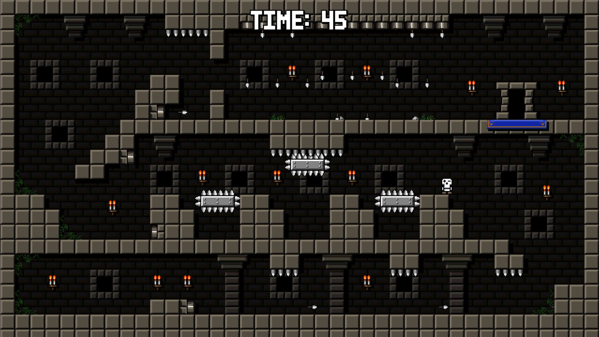 Screenshot for Castle of Pixel Skulls