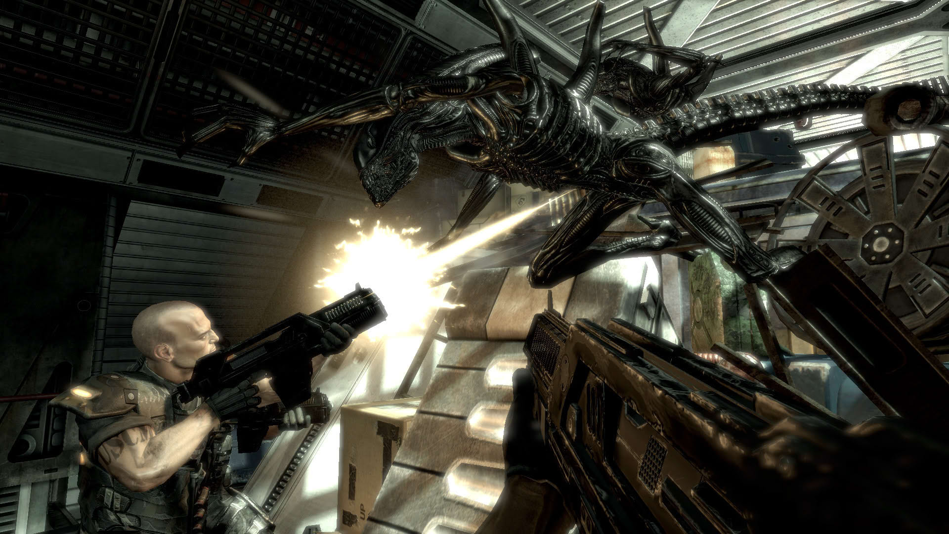 Screenshot for Aliens vs. Predator