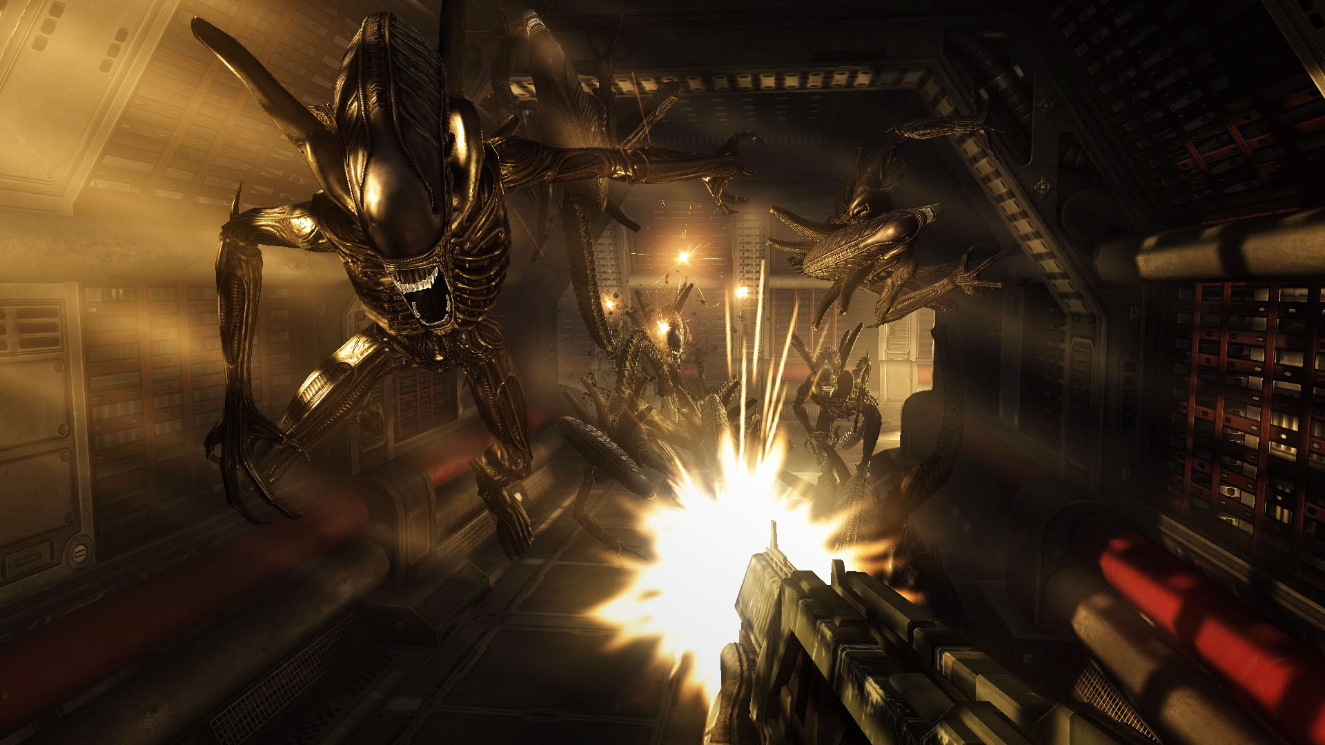 Screenshot for Aliens vs. Predator