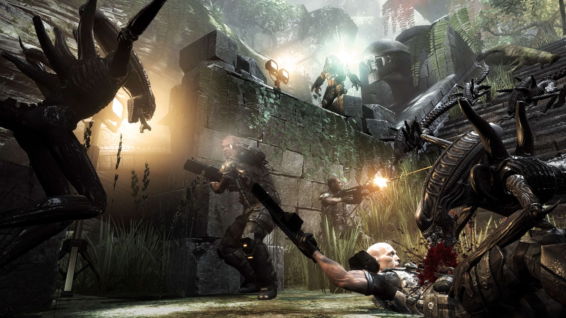 Screenshot for Aliens vs. Predator