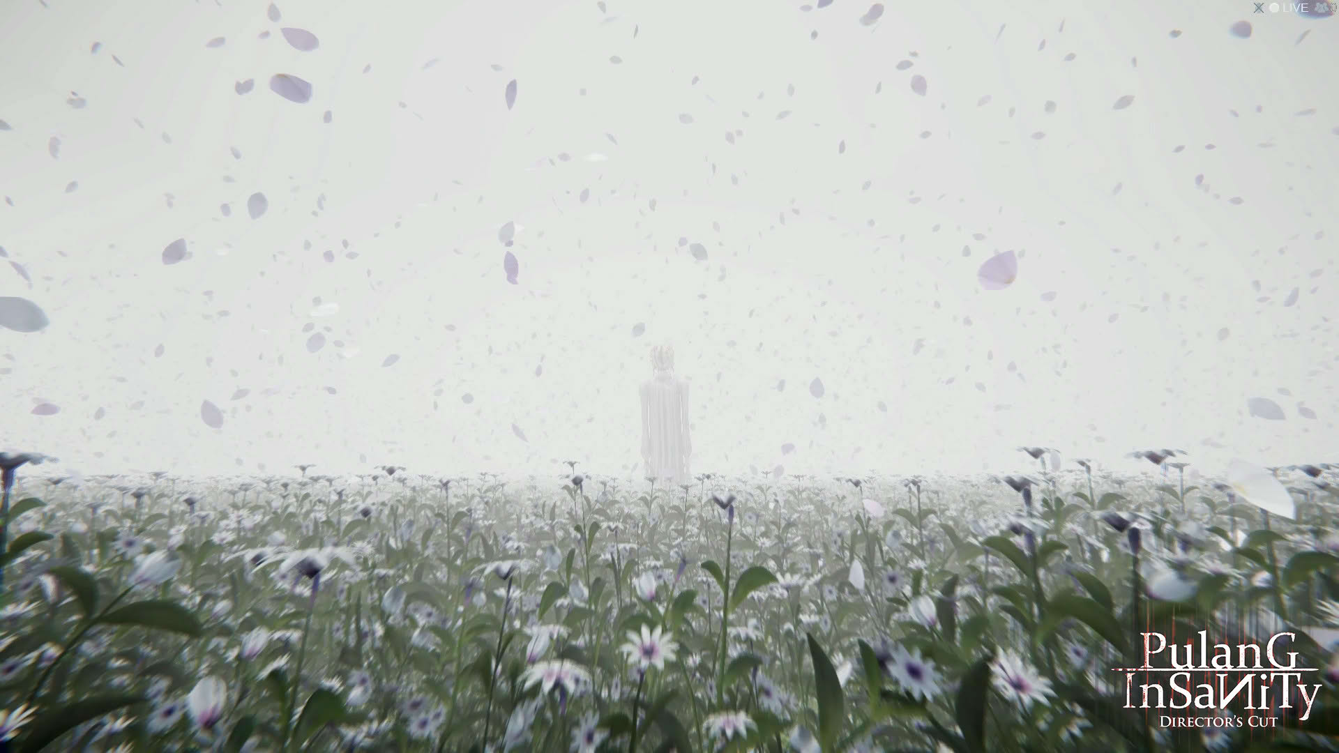 Screenshot for Pulang Insanity: Director's Cut