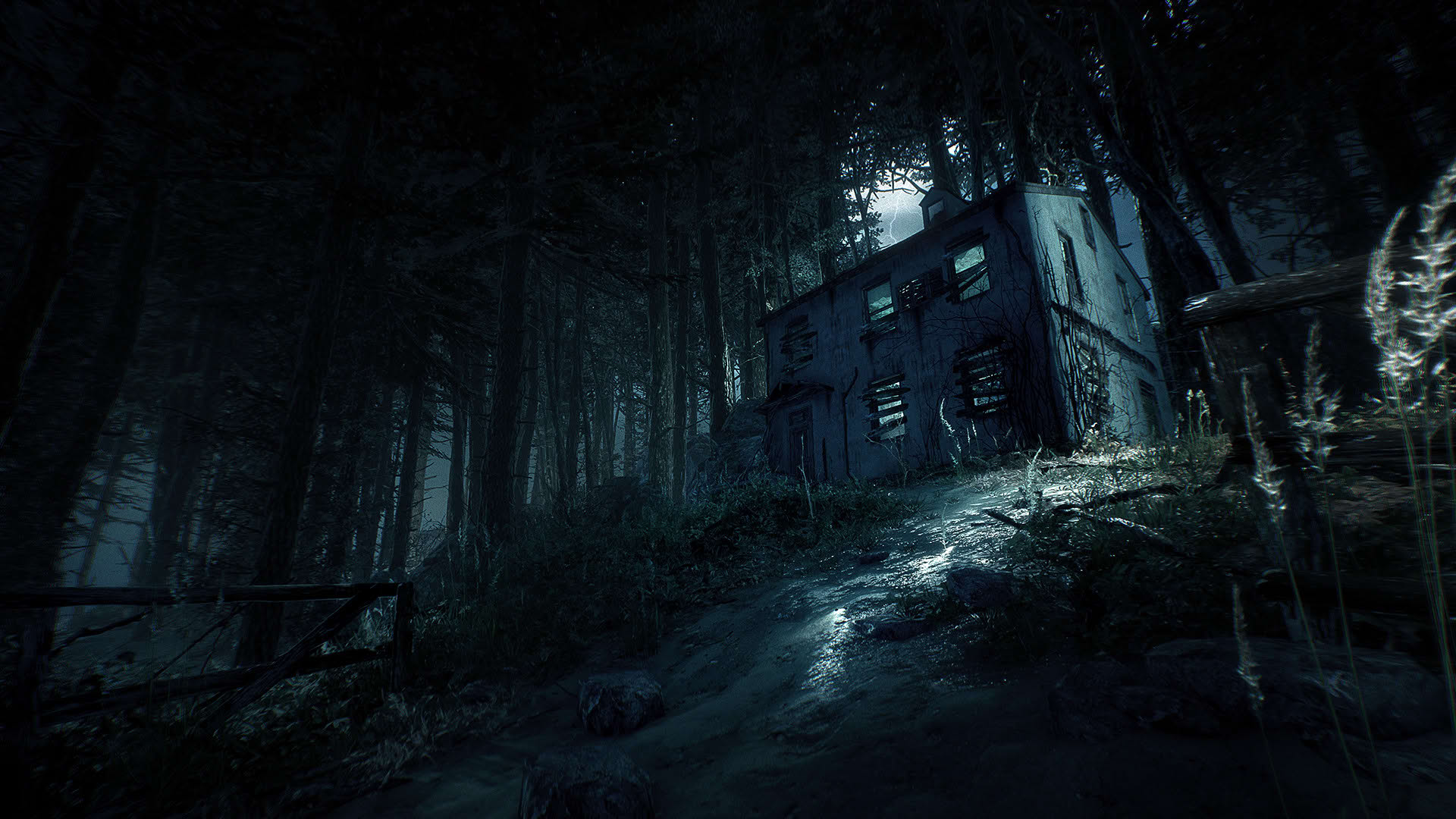 Screenshot for Blair Witch