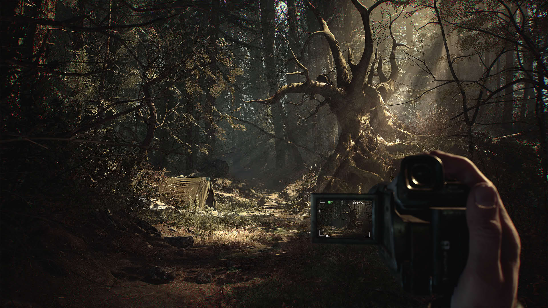 Screenshot for Blair Witch