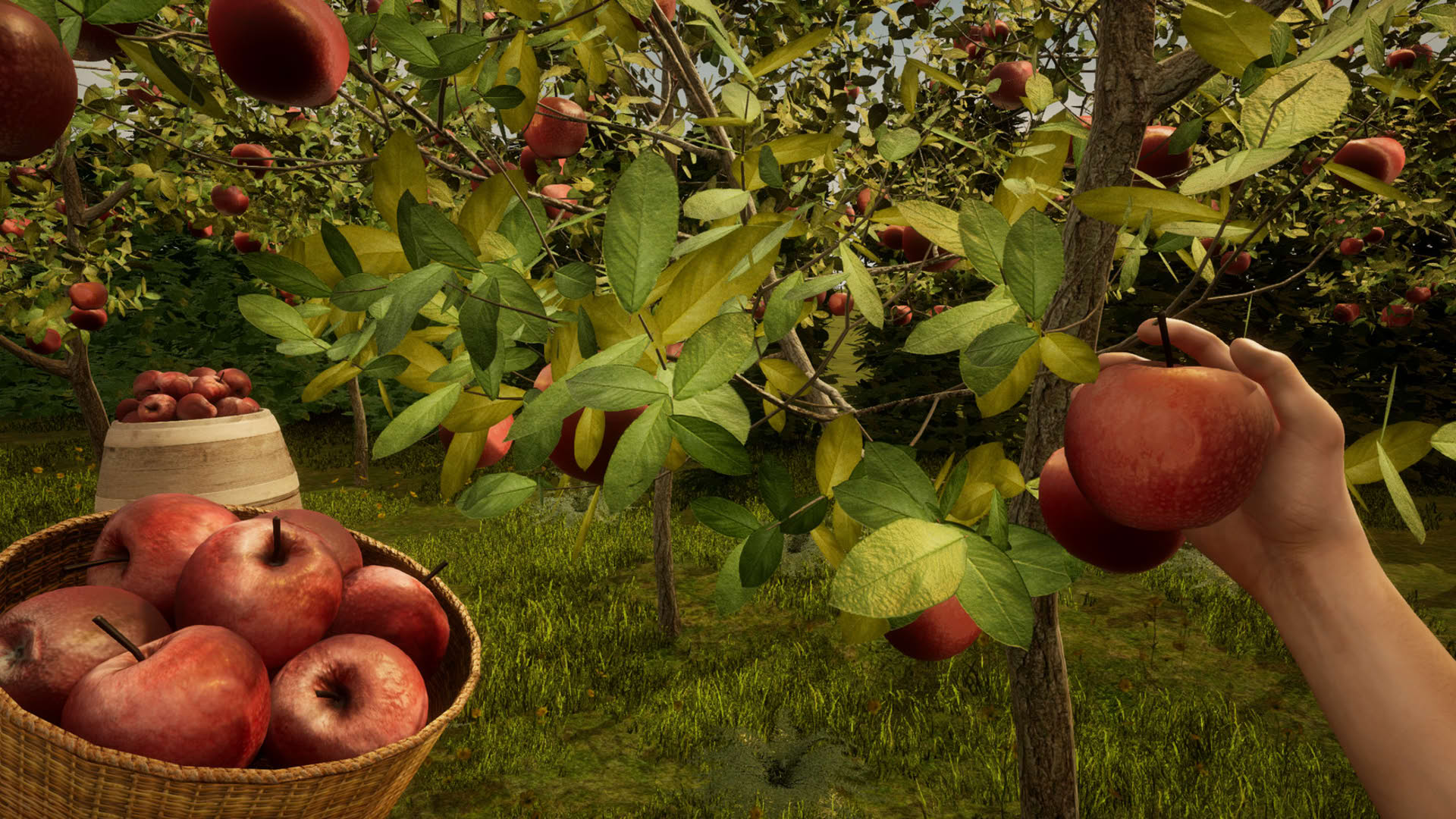 Screenshot for Orchard Simulator