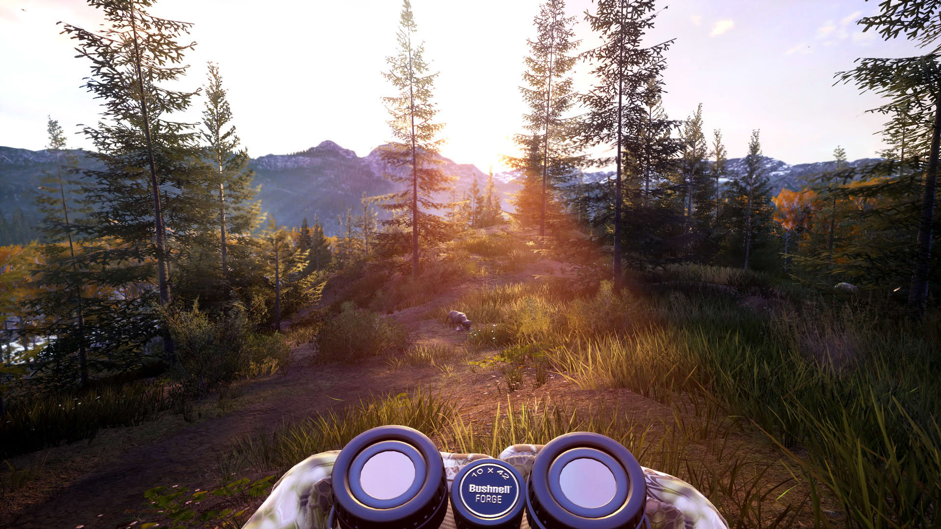 Screenshot for Hunting Simulator 2
