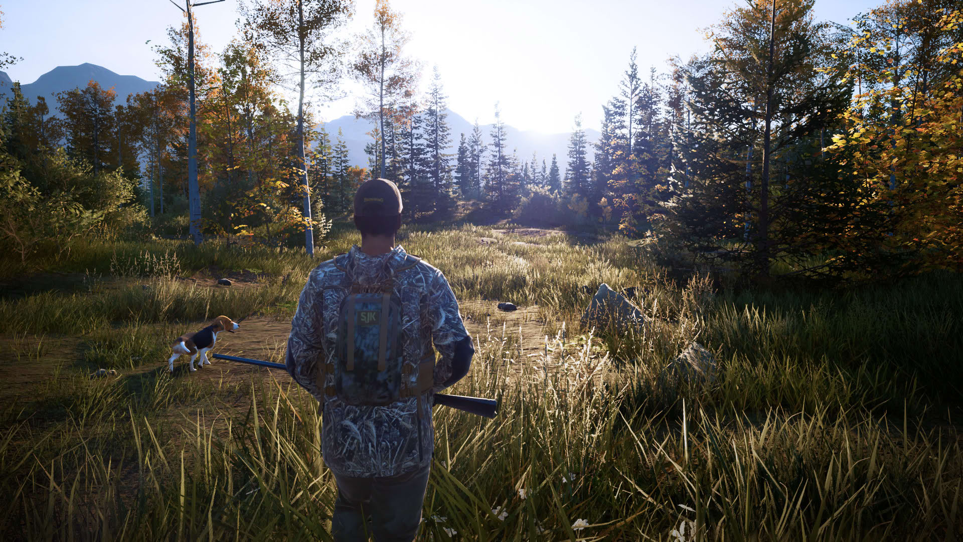Screenshot for Hunting Simulator 2