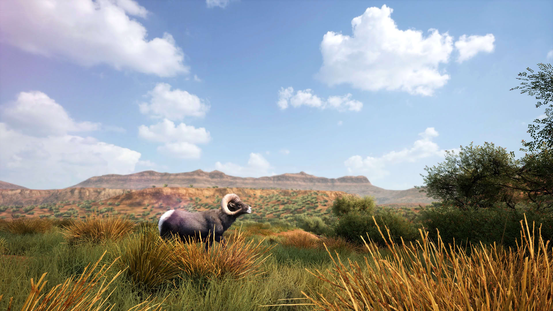 Screenshot for Hunting Simulator 2