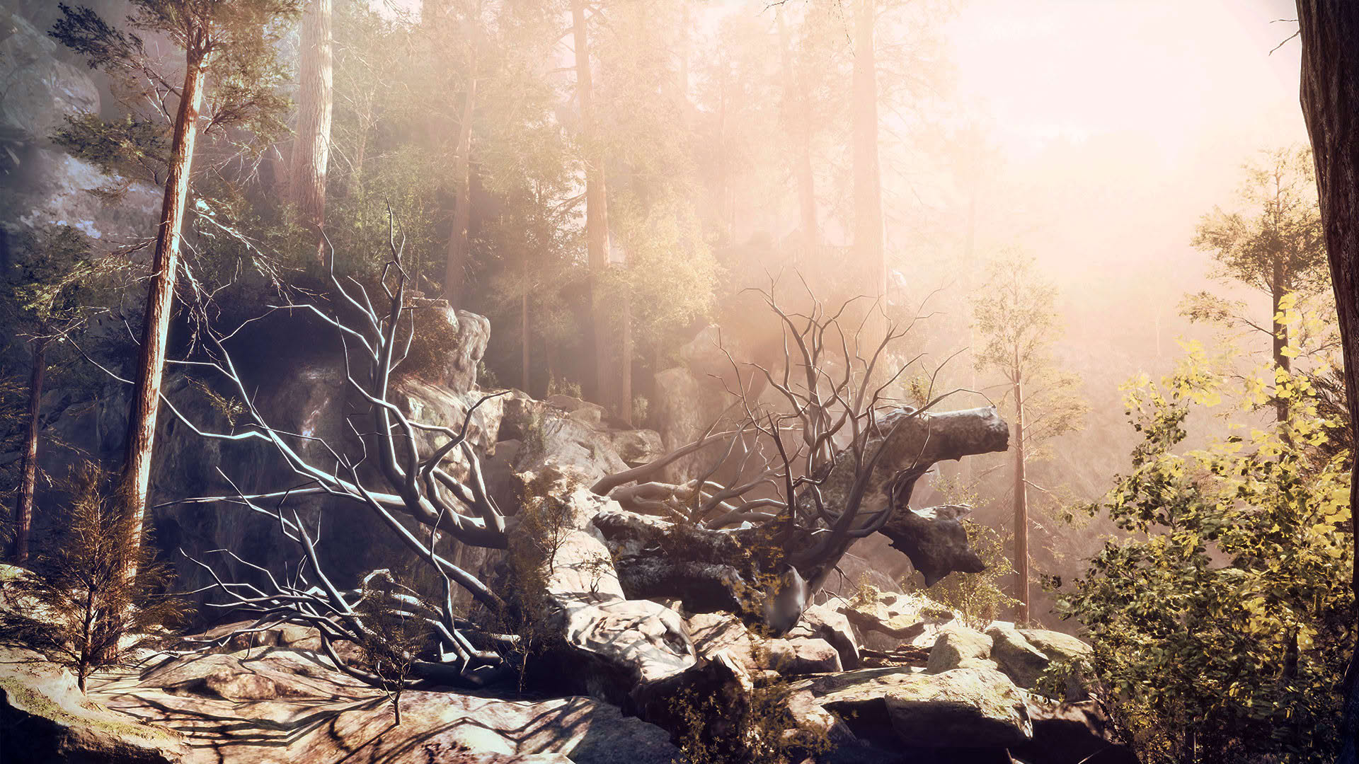 Screenshot for The House in the Hollow