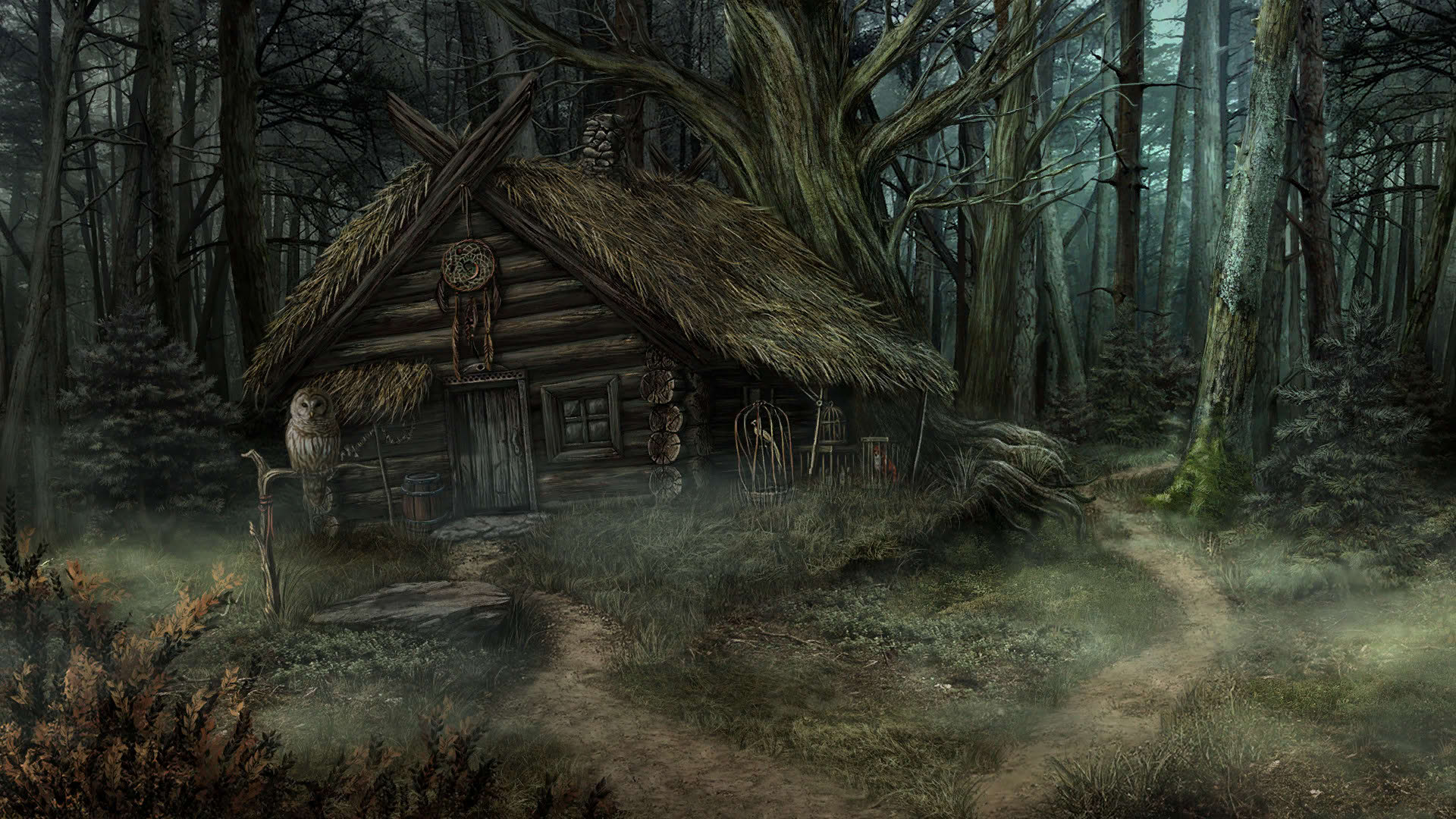 Screenshot for The Wild Case