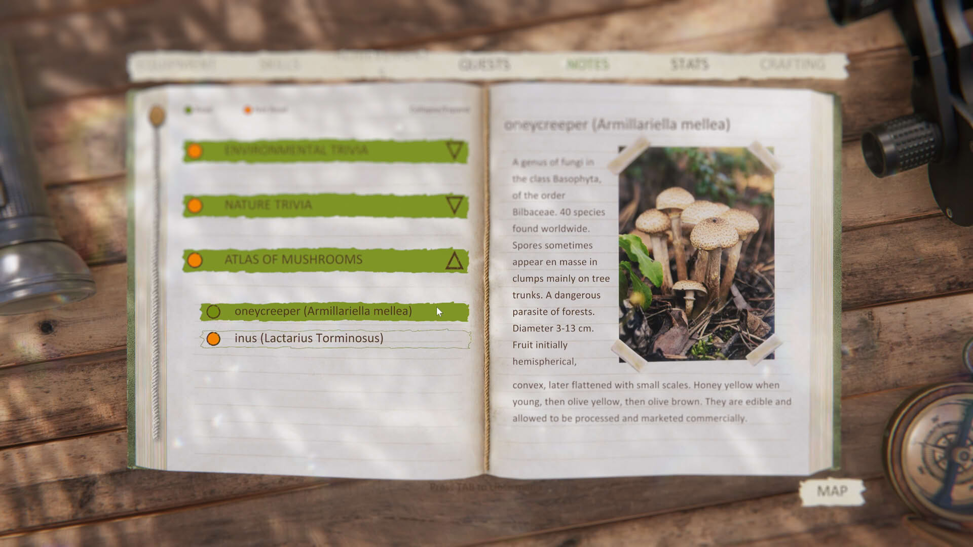 Screenshot for Forest Ranger Simulator