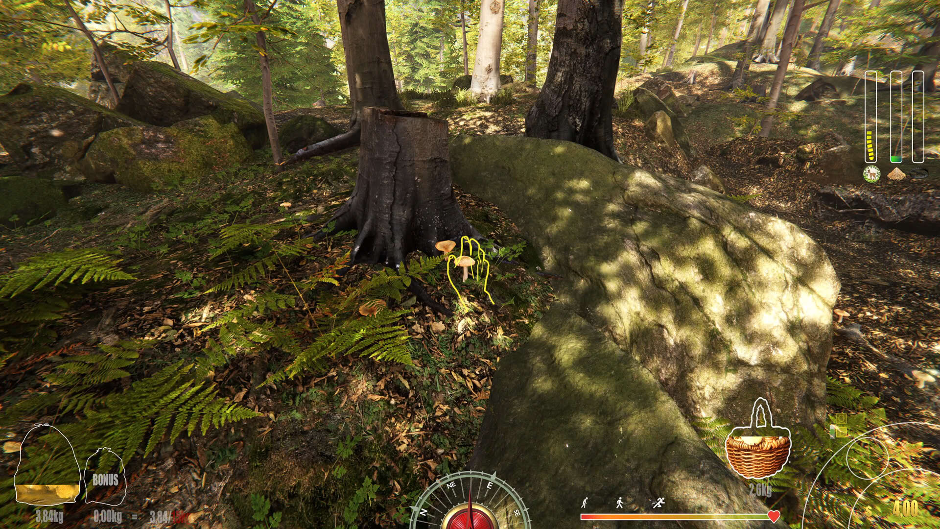Screenshot for Forest Ranger Simulator