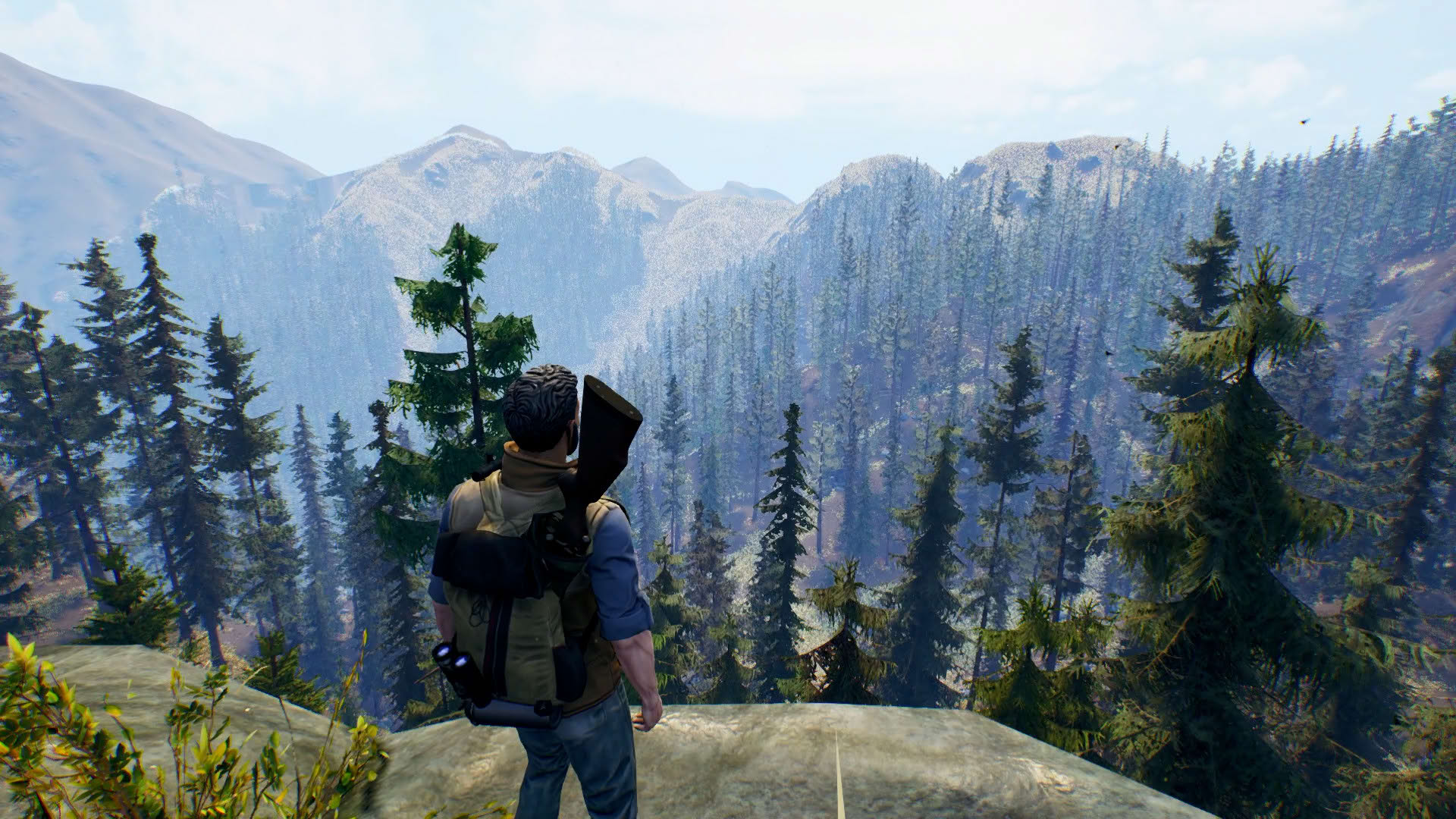 Screenshot for Open Country