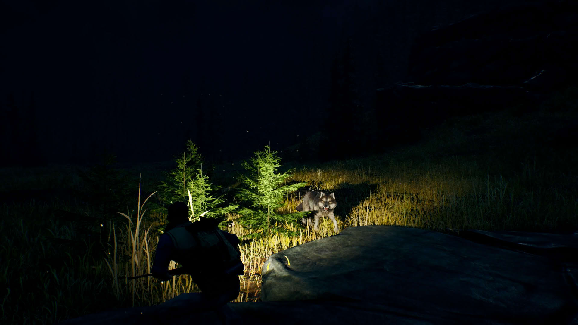 Screenshot for Open Country