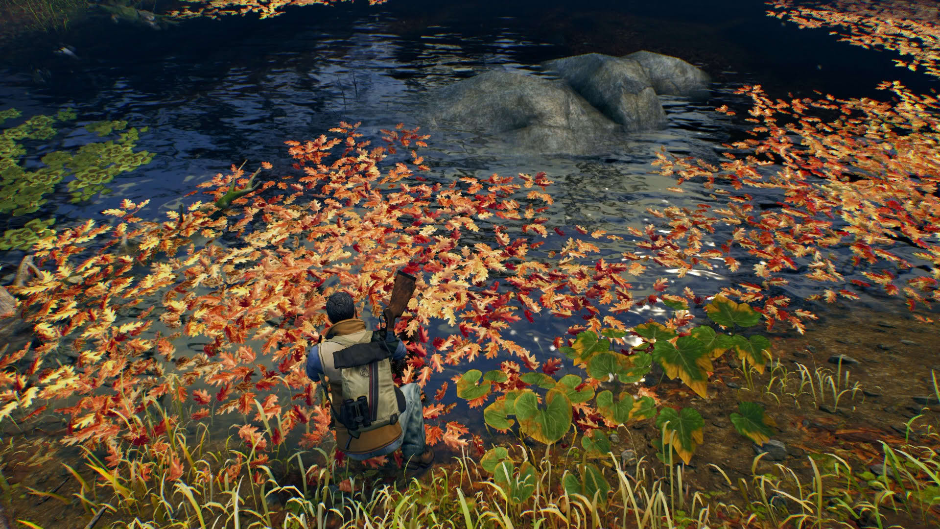 Screenshot for Open Country
