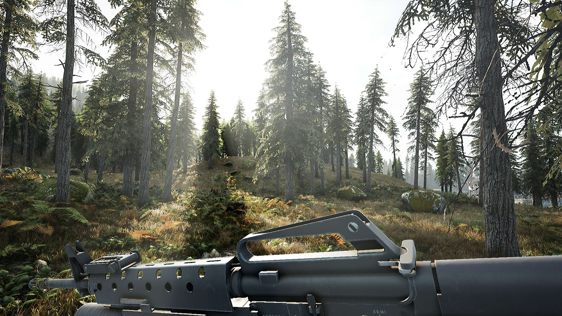 Screenshot for Beyond Enemy Lines: Remastered Edition