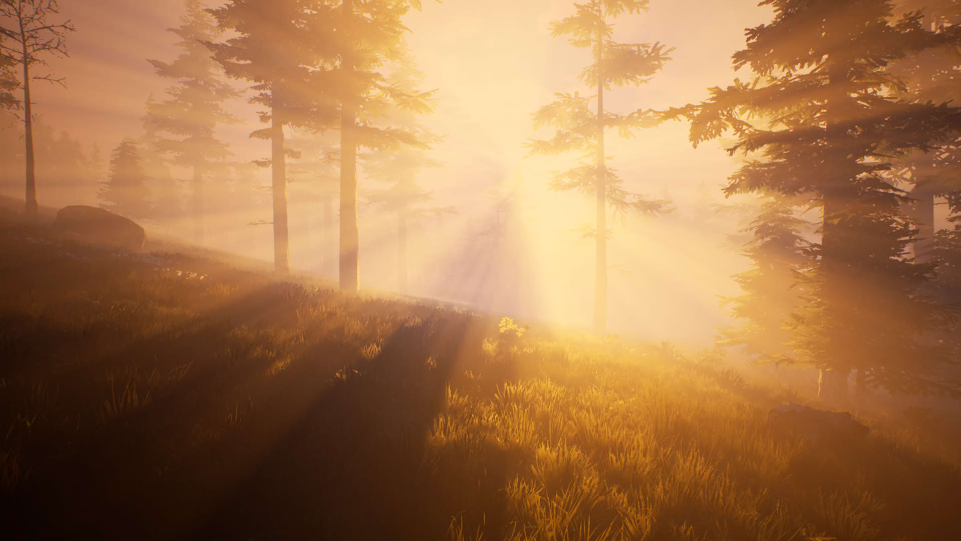 Screenshot for Fallen Region