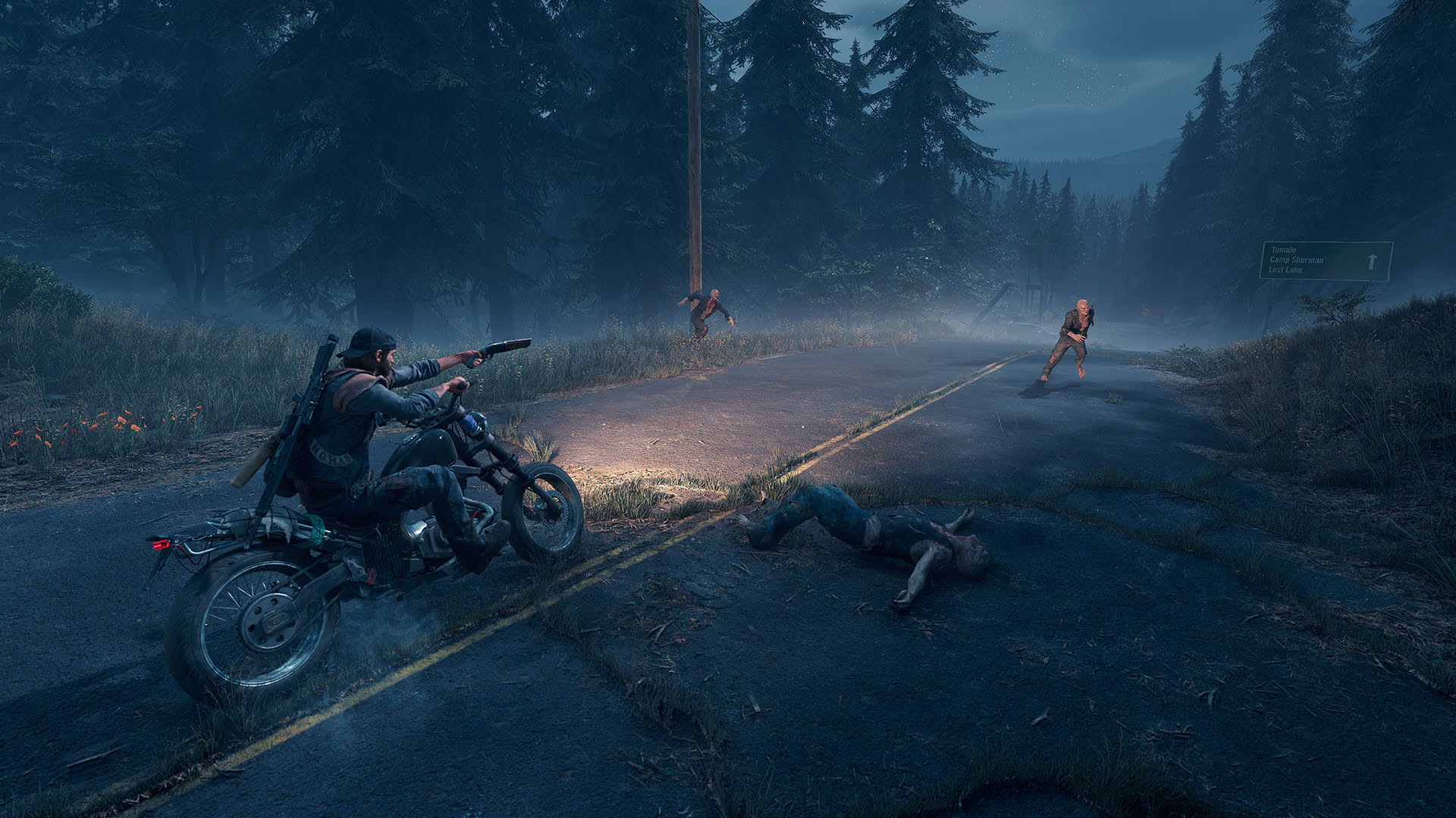 Screenshot for Days Gone