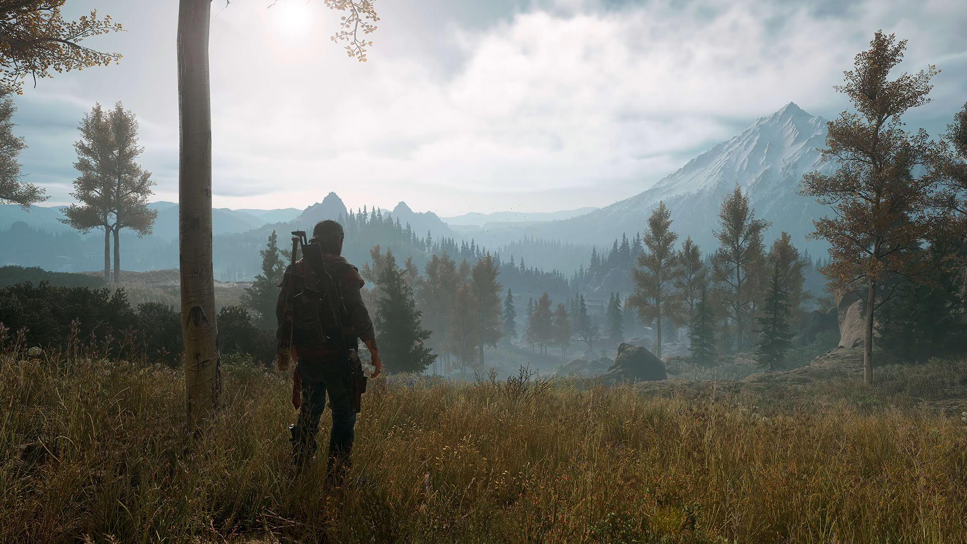 Screenshot for Days Gone