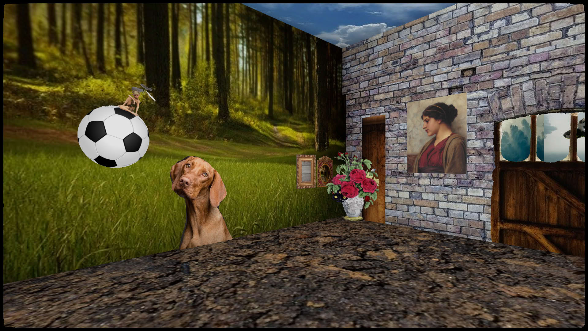 Screenshot for Sok-Worlds