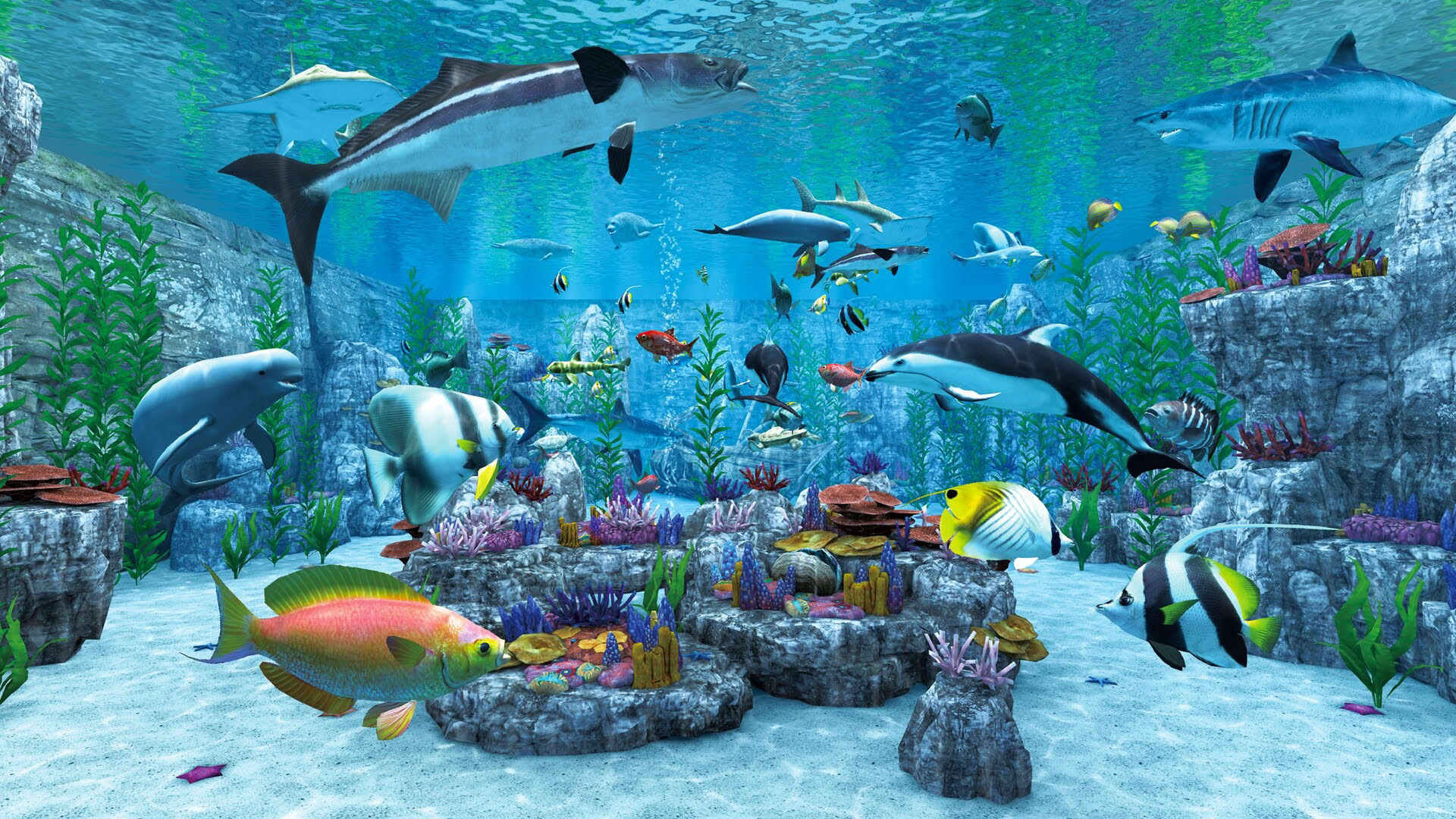 Screenshot for Real VR Fishing