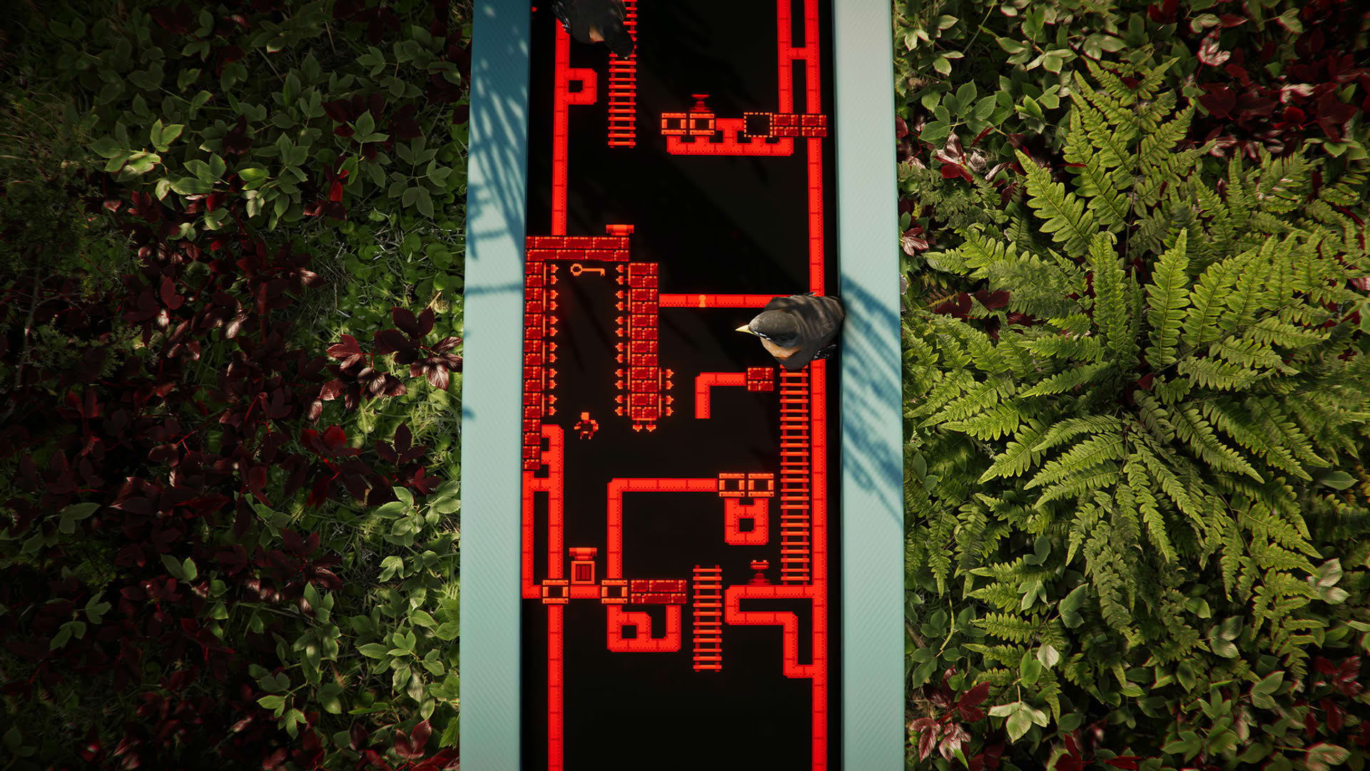 Screenshot for The Forest Cathedral
