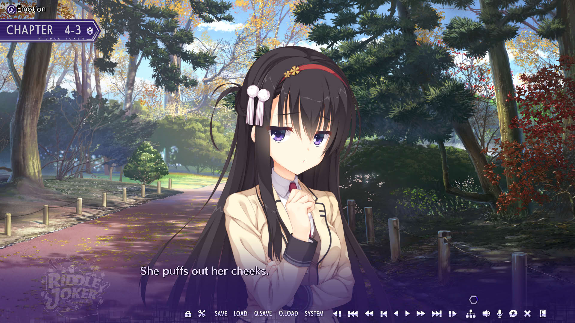 Screenshot for Riddle Joker