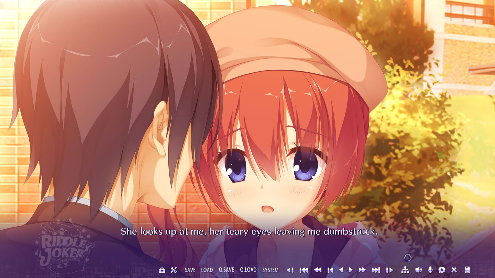 Screenshot for Riddle Joker