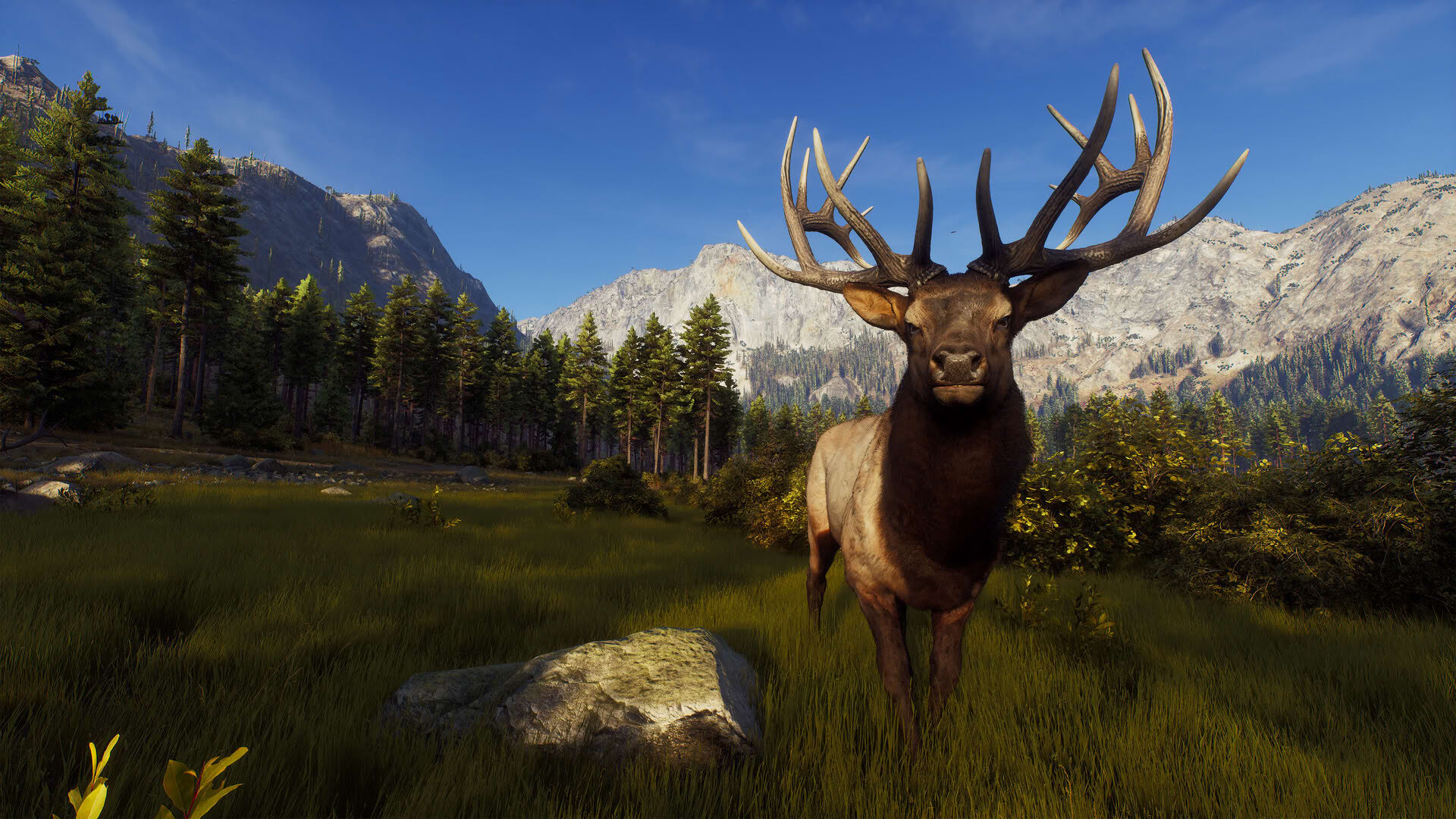 Screenshot for Way of the Hunter
