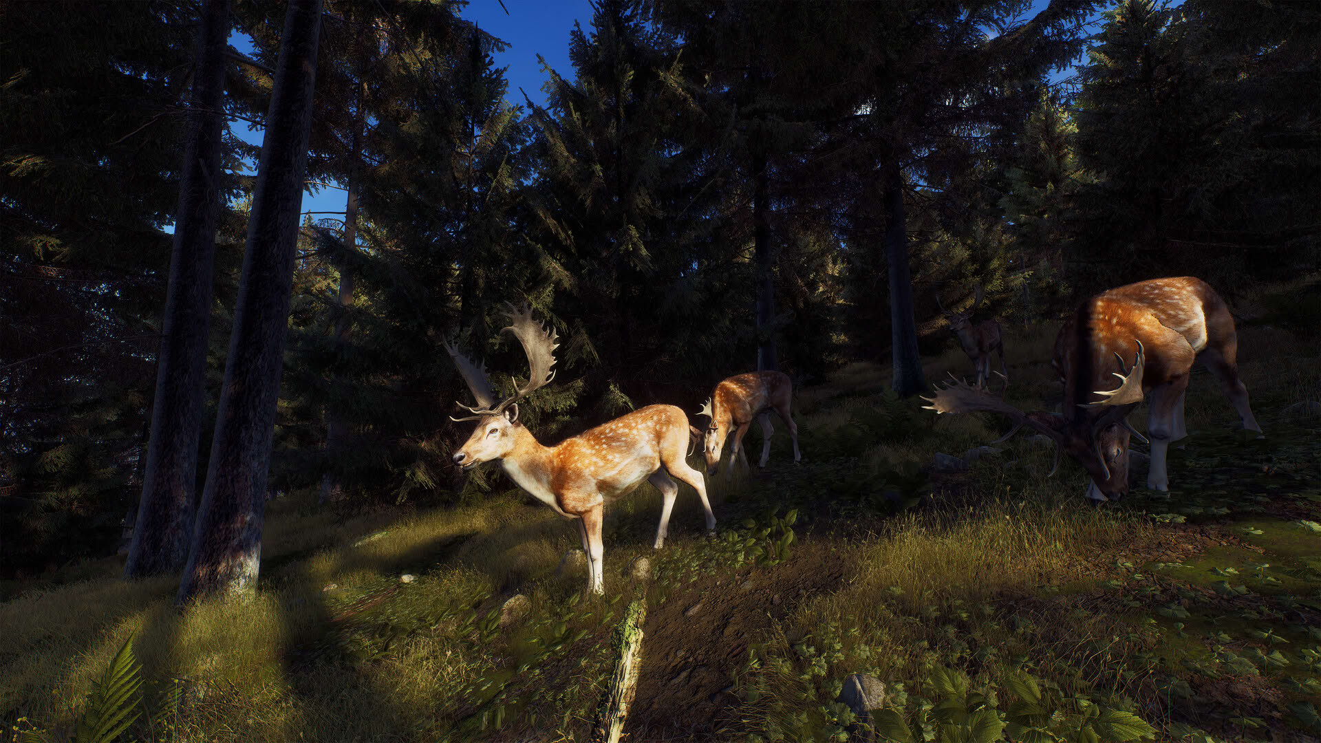 Screenshot for Way of the Hunter