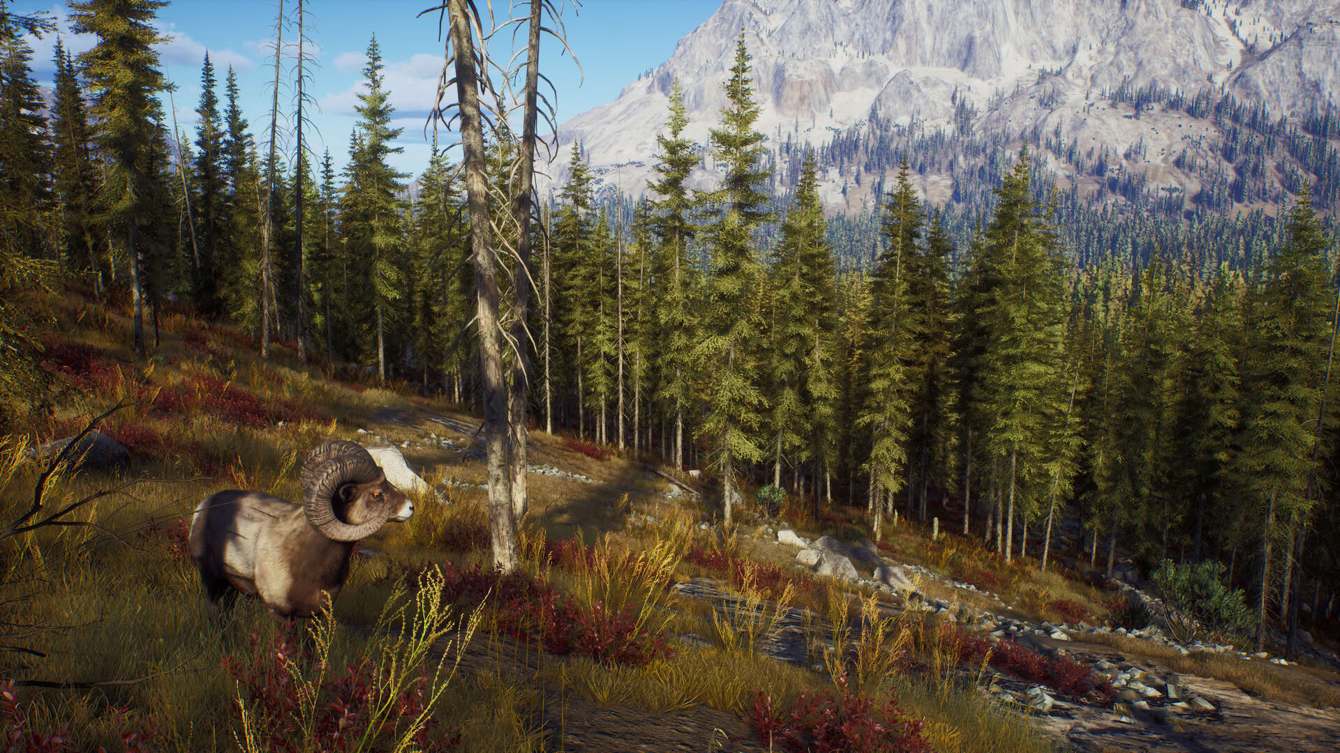 Screenshot for Way of the Hunter