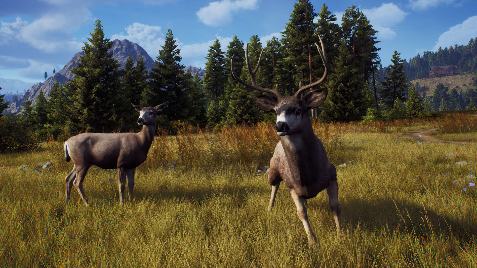 Screenshot for Way of the Hunter