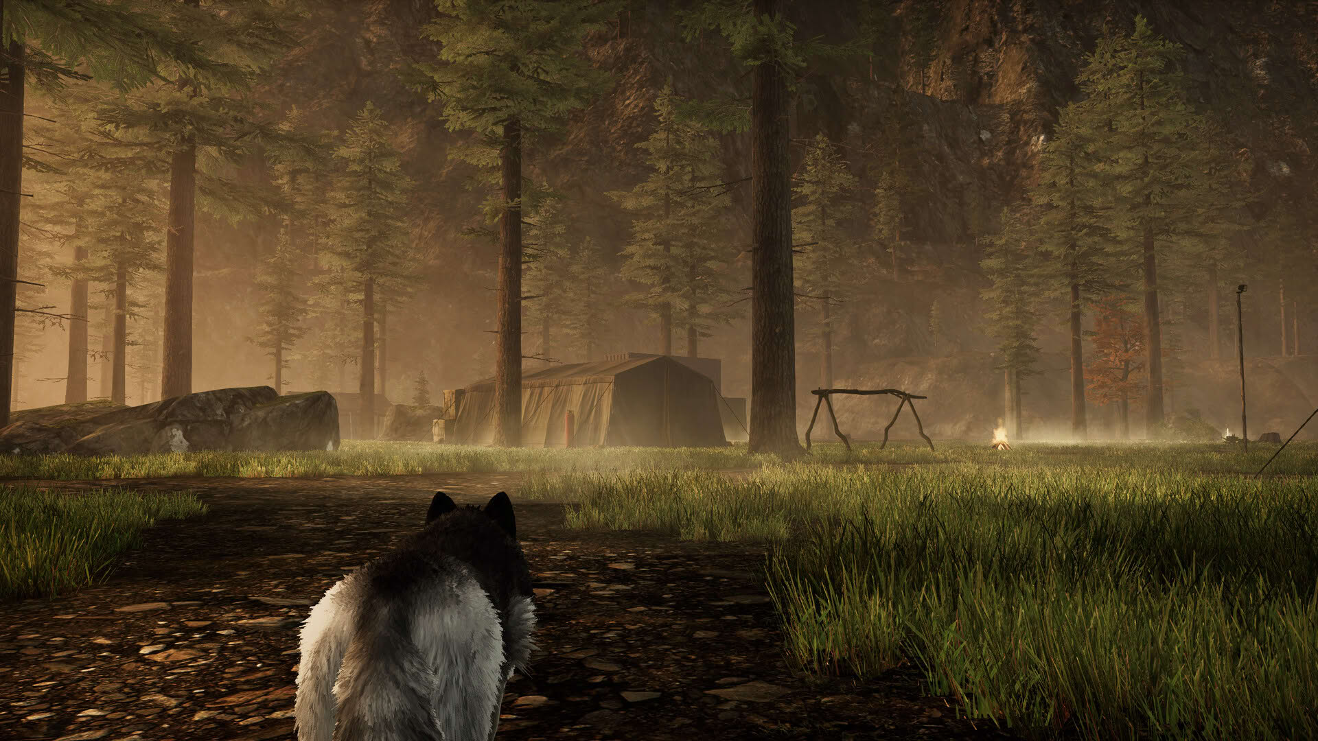 Screenshot for Tale of a Wolf