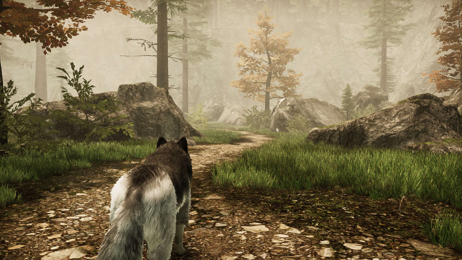Screenshot for Tale of a Wolf
