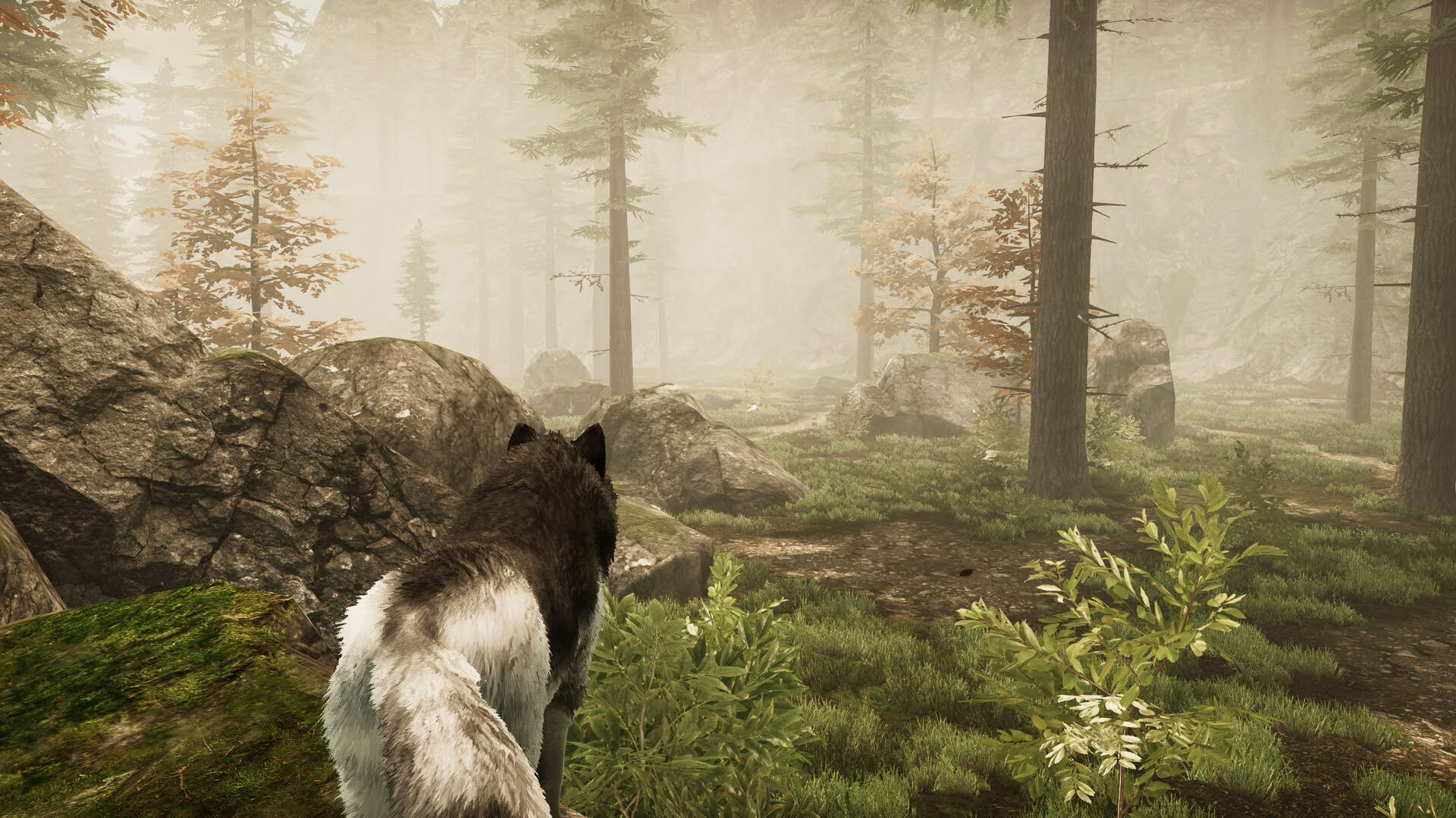 Screenshot for Tale of a Wolf