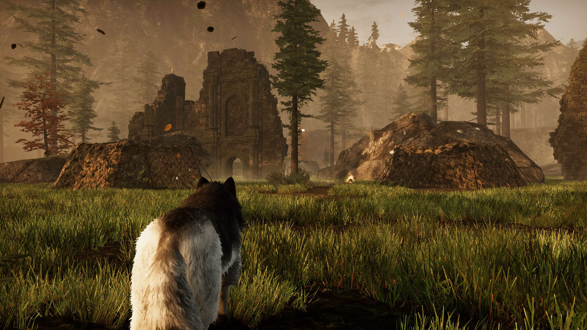 Screenshot for Tale of a Wolf