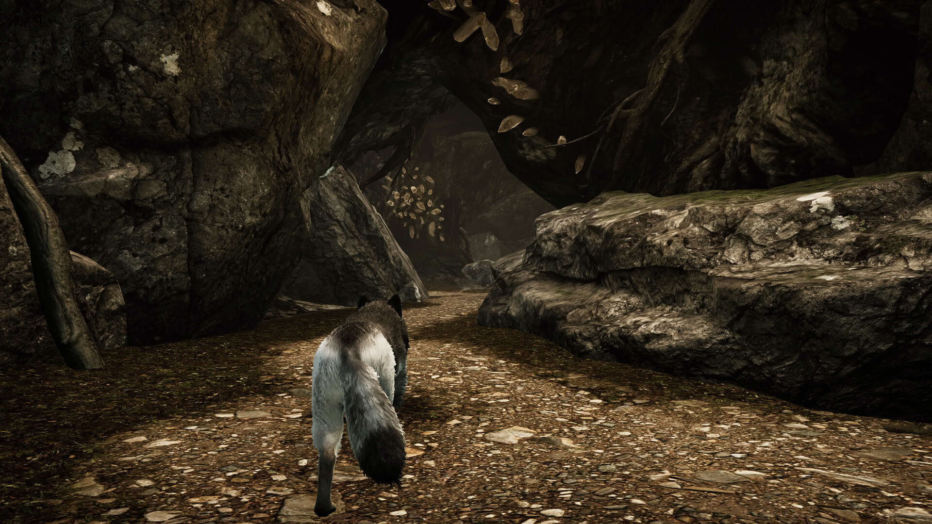 Screenshot for Tale of a Wolf