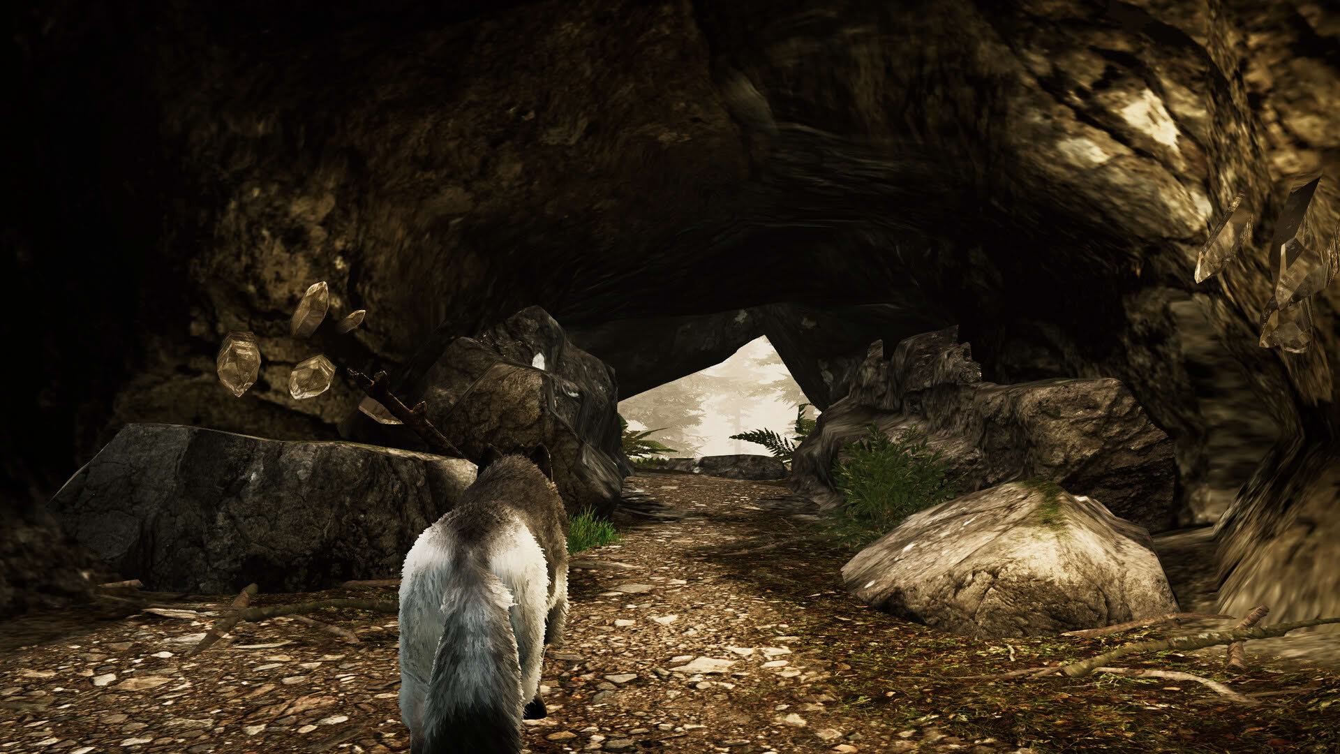 Screenshot for Tale of a Wolf