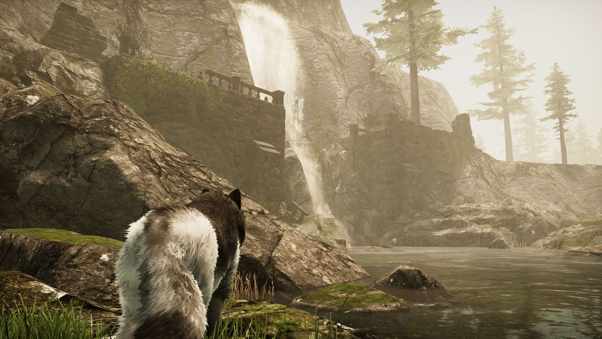 Screenshot for Tale of a Wolf