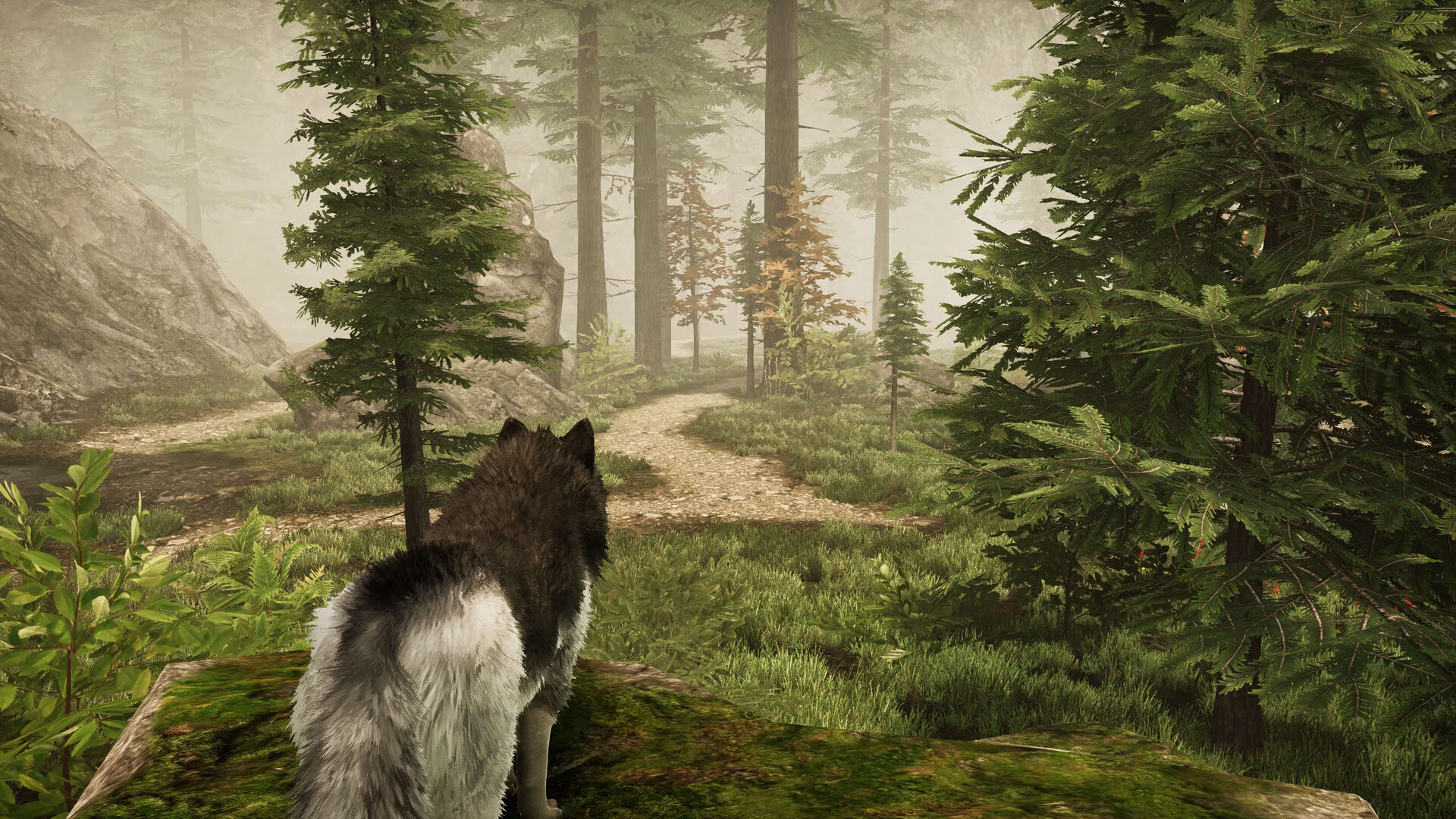 Screenshot for Tale of a Wolf
