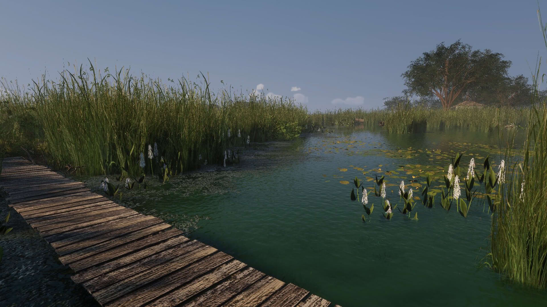 Screenshot for MLF: Pro Catch