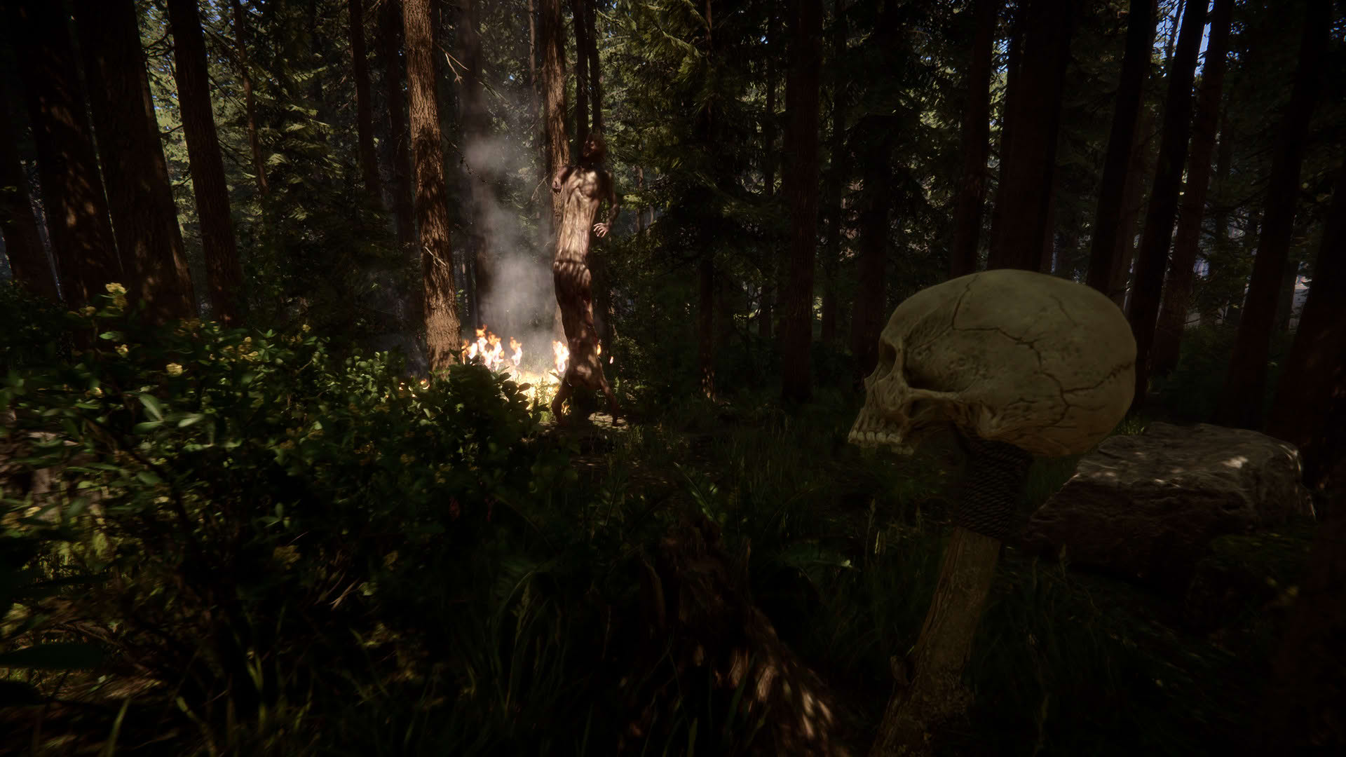 Screenshot for Sons of the Forest