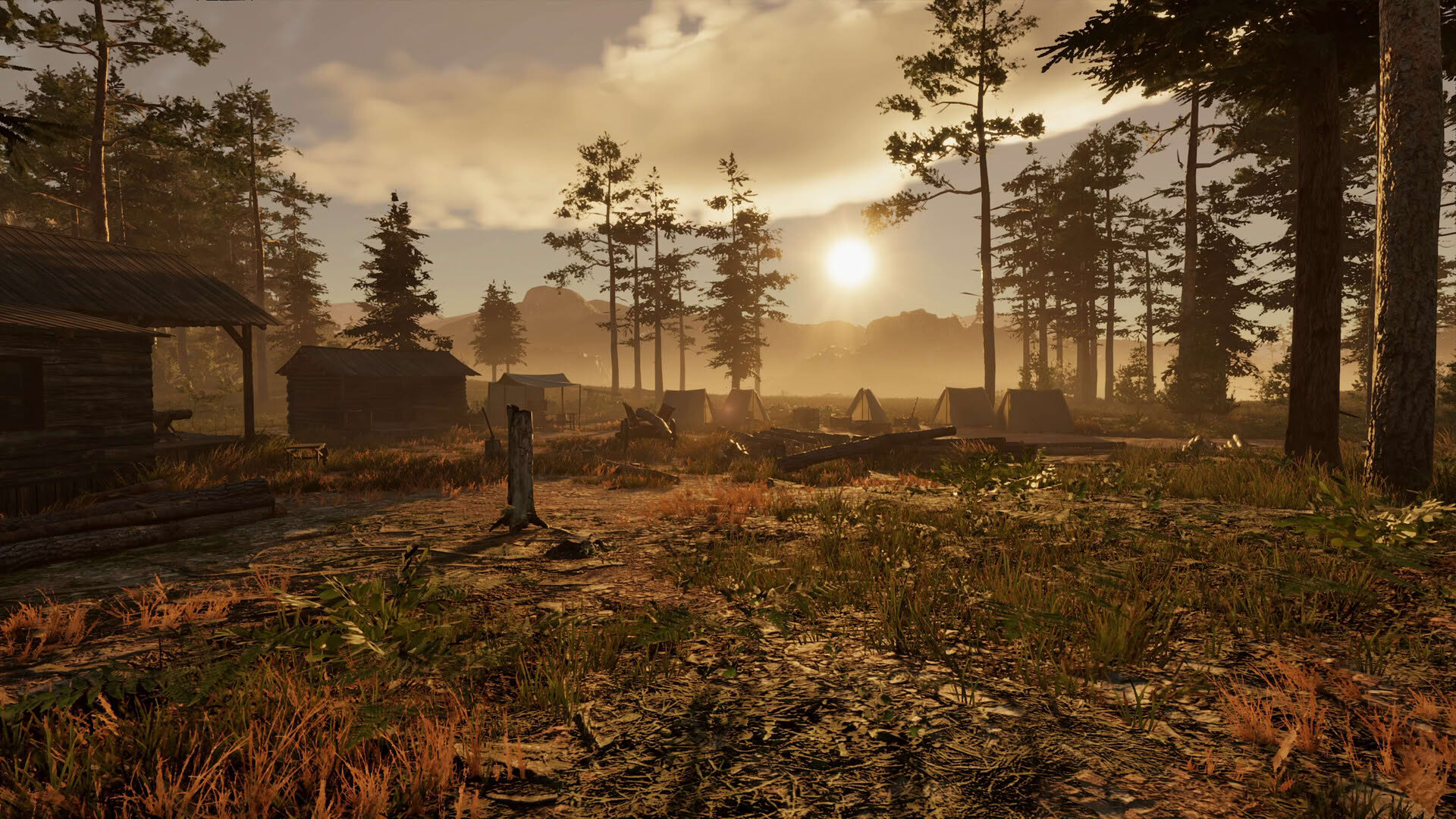 Screenshot for Wild West Legacy